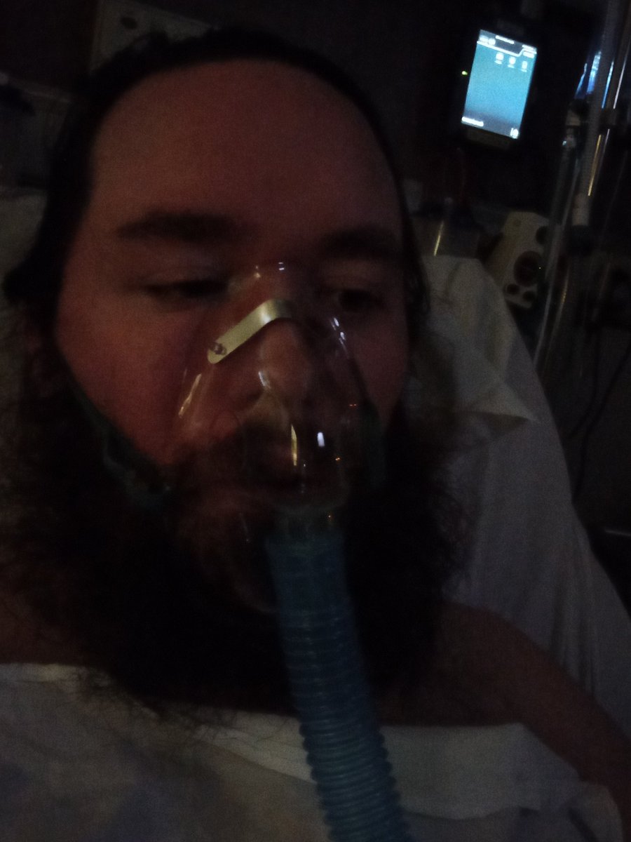 Toasty (@toastytime) on Twitter photo 