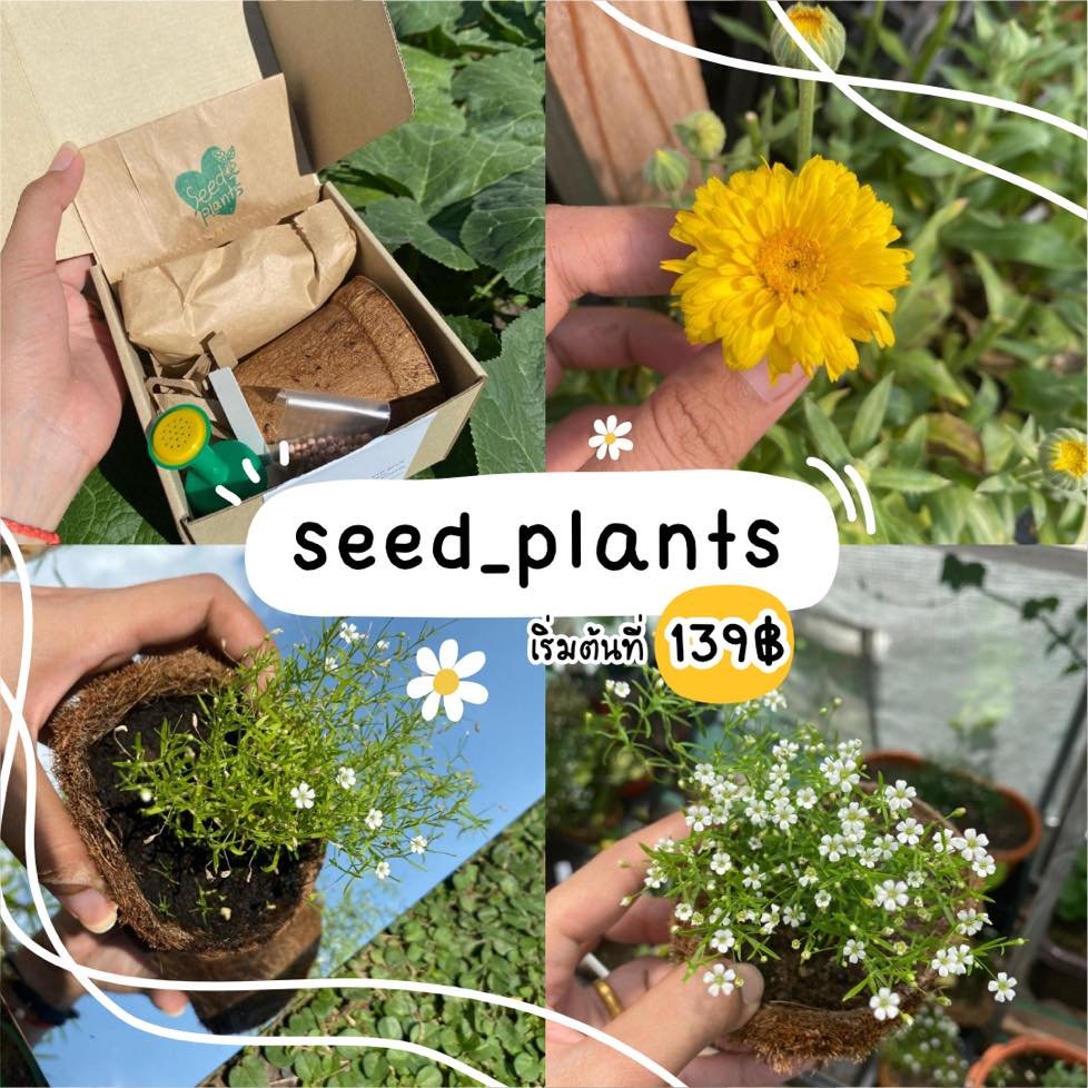(ต่อ) #ชี้เป้า เซ็ตปลูกดอกไม้ 🌷🌟
ทำสวนดอกไม้เล็ก ๆ ในงบจิ๋ว ๆ ได้เลย 🥰

📌 เราใส่พิกัด instagram แต่ละร้านในภาพน้า ✨