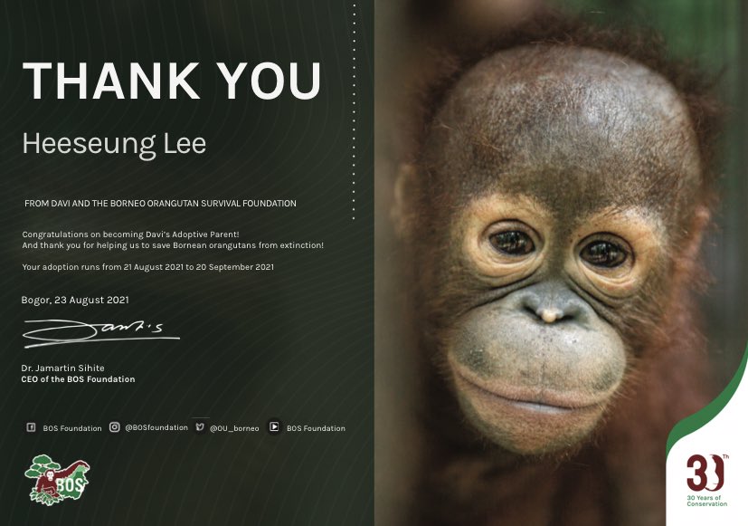 Good Morning!
I proudly welcome you Davi! 

in this happy month i decide to adopt an orangutan from BOS Foundation under ENHYPEN Heeseung’s name. 

by adopting Davi, i promise to take the best care of her and supporting #OrangUtanFreedom

 @ENHYPEN_members @BELIFTLAB @ENHYPEN