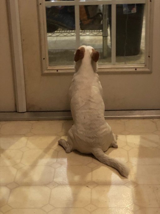 My mom just sent me this picture of Chunk 😭 me too buddy https://t.co/DIHhKFUO5y