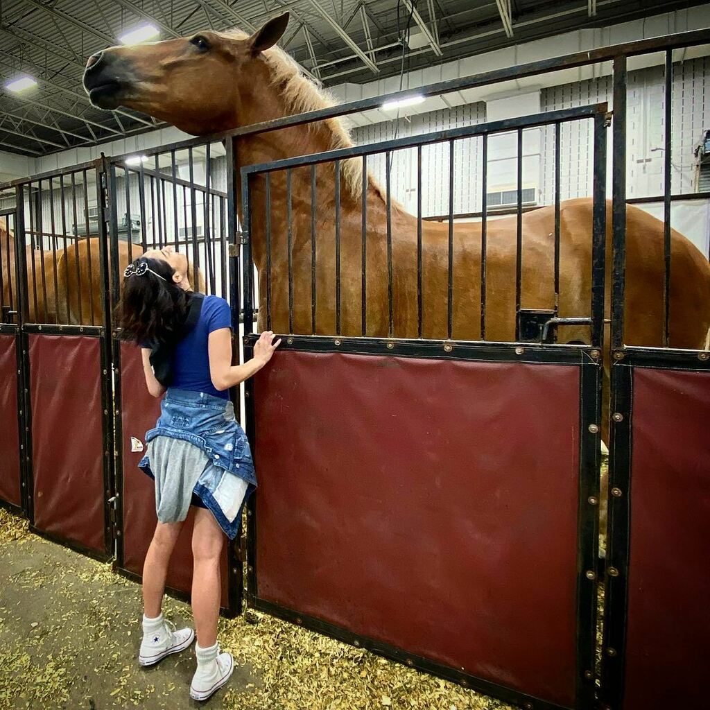 For reference; I am 5’7”. 😳
This was probably my favorite part of the fair. These horses are HUGE!! #indianastatefair #indie #indiana instagr.am/p/CS5g9iosGuw/