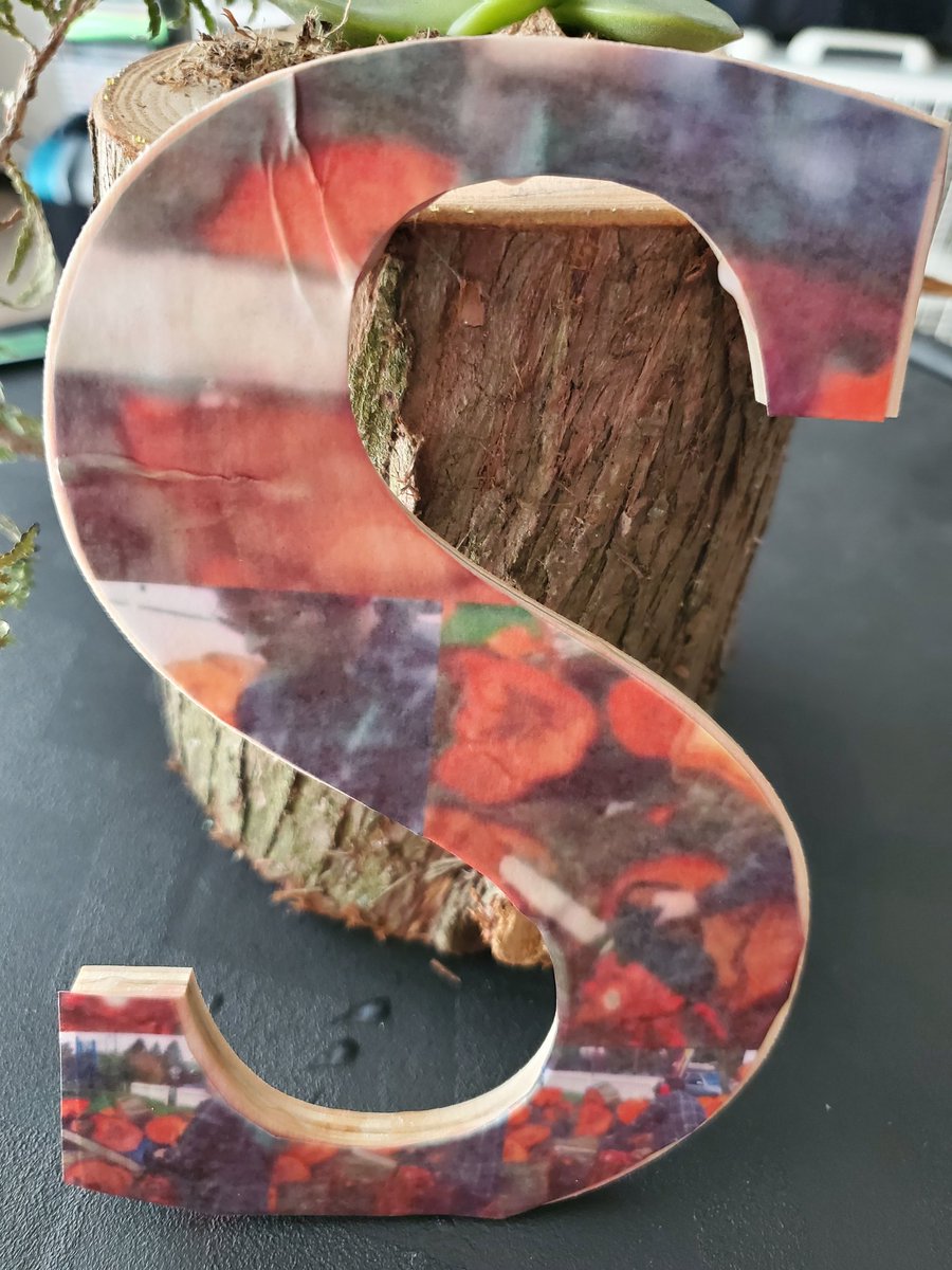 holdtheday's tweet photo. I also gave Misha a #LettersForMisha ... 'S' is for SAW, Science/Art/Writing.  Donation made to @SAWTrust https://t.co/lCmdPP6UjF. Please join me in making a donation! And see the next post for my inspiration for this letter 💙💙 https://t.co/9MuJ0Nodo3