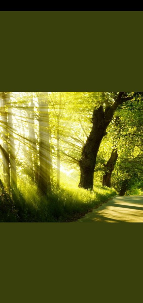 新的一天开始、希望大家天天开心、天天有惊喜、