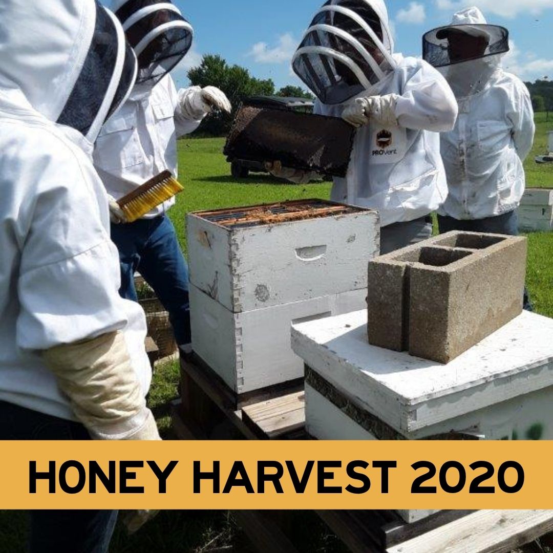 BeeLovedTrading's tweet photo. Thinking about our honey harvest last year and wanted to share a #tbt pic. No honey harvest this year because of the harsh winter, but our honey bees are growing stronger.

You can still support us by shopping at our online store.
https://t.co/uHk78na9L0
#savethebees https://t.co/HB7VqoftsN