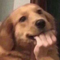 sveamon's tweet image. AY BASTA NO ME SEGUÍA