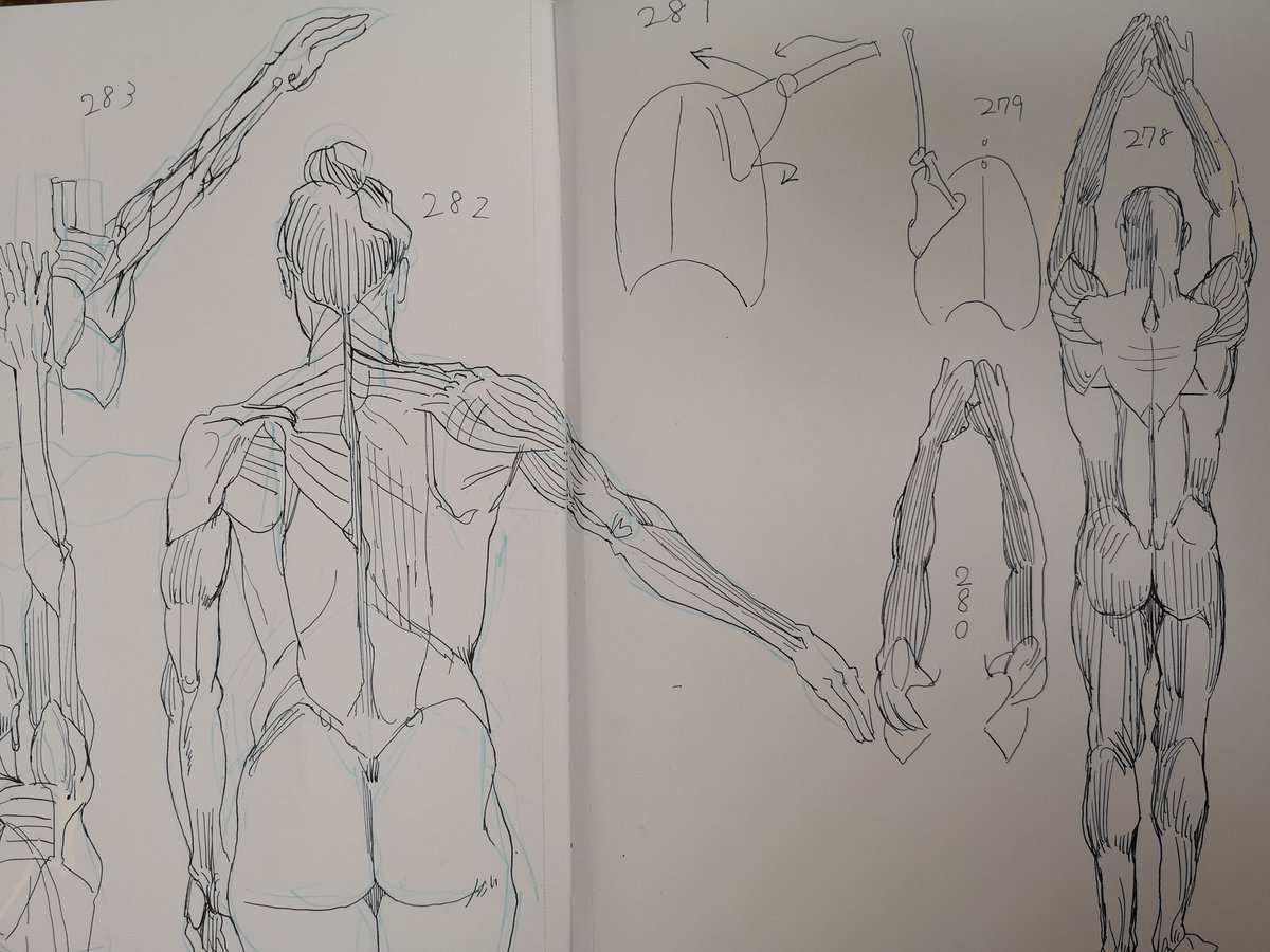 気持ちが萎えきって、半月間何もかもやる気がなく白目をむきながらぷよぷよの連鎖を伸ばす作業に時間を費やしたけど、今日からまた出来ることを一つずつやっていく(サボってた毎朝のデッサンを再開)
