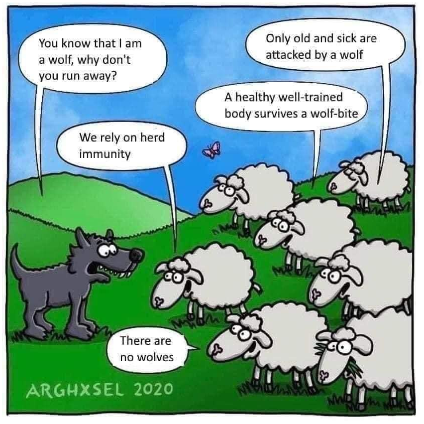 Laurie_Garrett's tweet photo. Nails it.
#COVID19 #vaccines https://t.co/G6n6S01v3l