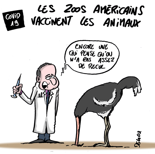 Mon dessin du jour dans l'Est Républicain