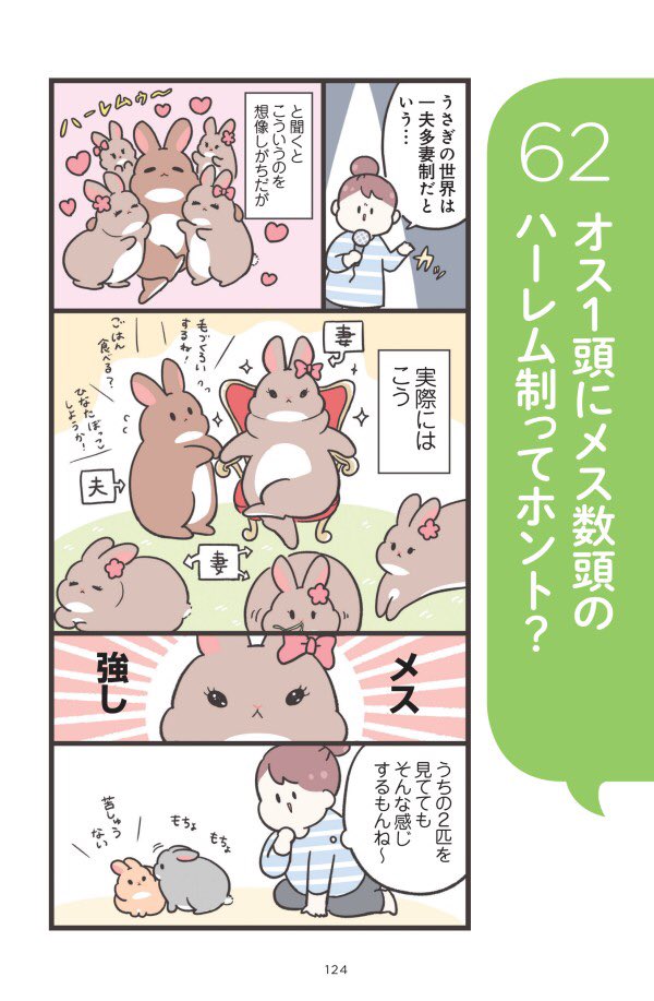 🐰9月6日発売『うさぎの本音がわかる うさほん』中身ちょい見せ🐰②(1/2) ゆるふわ漫画とまろやか解説でこの秋、うさぎがもっと身近な存在に☺️

特典しおり付き予約受付中です〜✨
https://t.co/eaZ8Vvky0M 