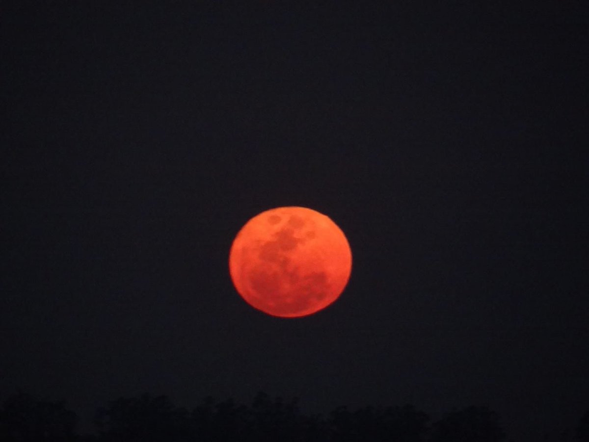 rangel_rf's tweet photo. Registro da conjunção + primeiro dia de lua cheia. @Astronomiaum https://t.co/F0O36L4bYc