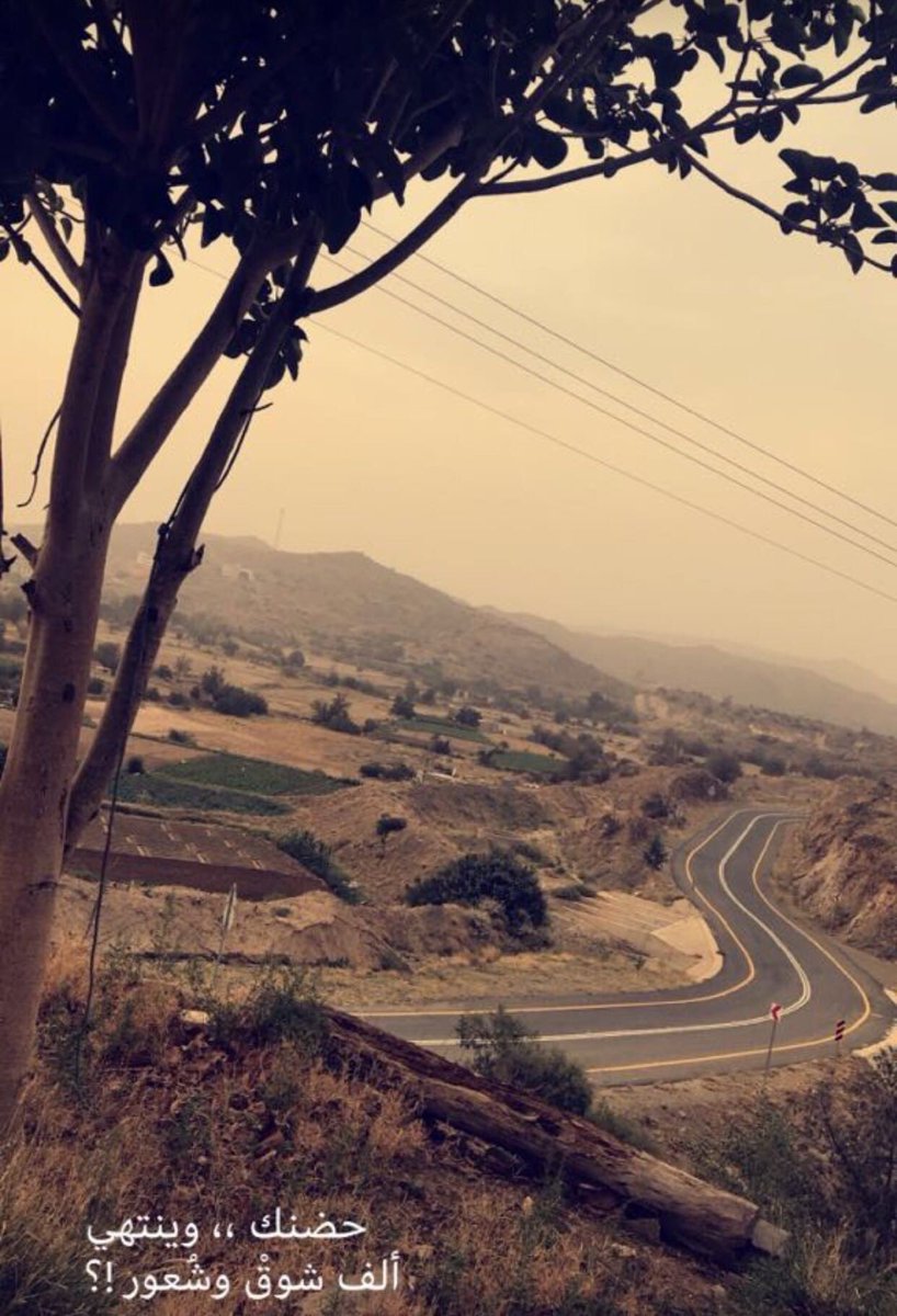 Roro Almalki (@loooly1405) on Twitter photo 