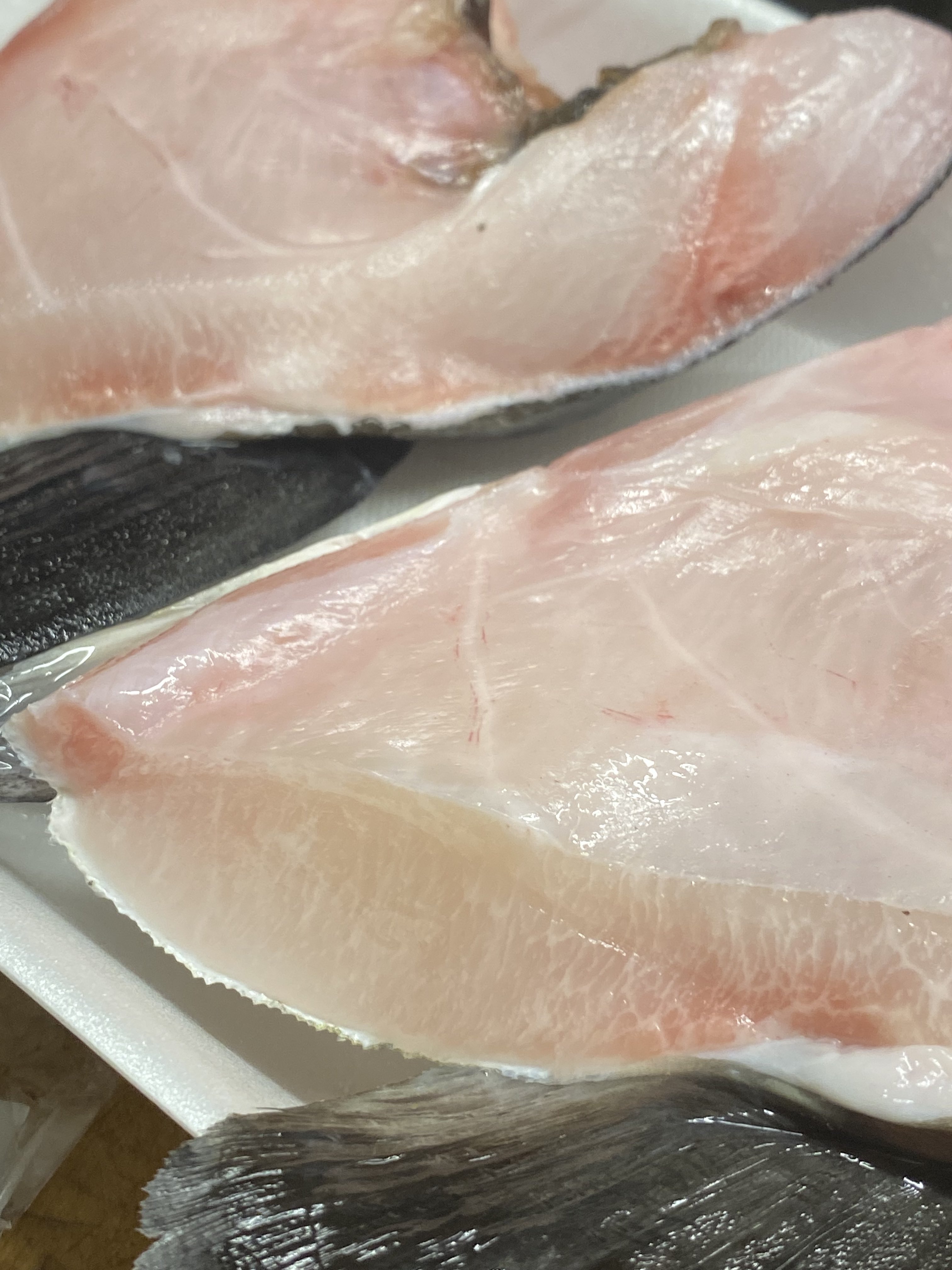 Funa 琉球スギのカマ焼き スギはマグロと比べ1キロ育つために必要なエサの量が約10分の1と圧倒的に少なく 注目の養殖魚だそうだ 脂はたっぷり 味はマナガツオ 似で負けないくらい美味い 吉池 T Co 2pmpjbqtuc Twitter