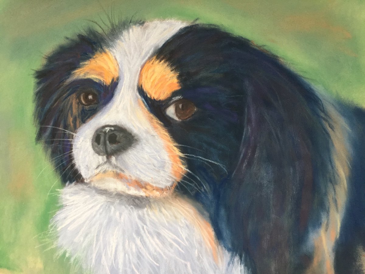 puggle01's tweet image. My good deed for the day. I can’t bring myself to visit in hospital the man who abused me for so many years, despite the fact he’s in serious trouble with a broken back. So I painted his dog for him - especially to make his wife smile during this hard time