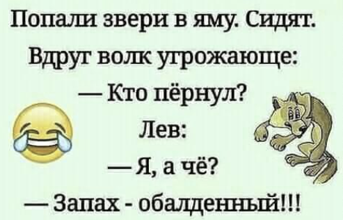 шутки и анекдоты про животных. если вы стали для когокогото. в каких случаях слова пишутся через дефис. картинка если вы стали для кого то плохим. я вас люблю но я предвижу что вас когда-нибудь обижу.
