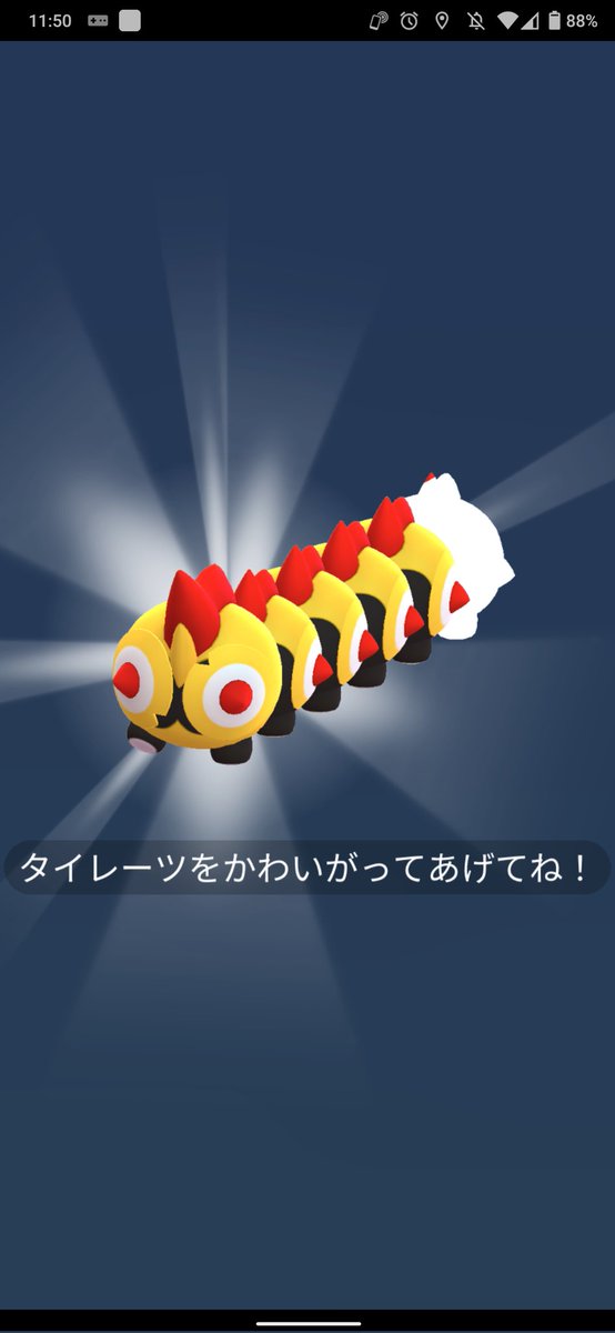 Meganium289's tweet photo. 後ろの1匹だけ色違いだった https://t.co/YsxmyFTKju