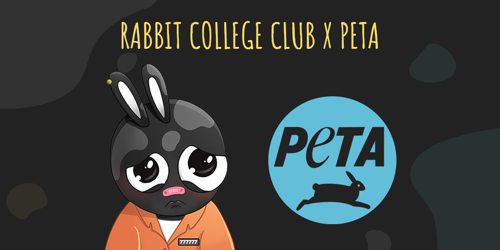 Rabbit College Club tweet media