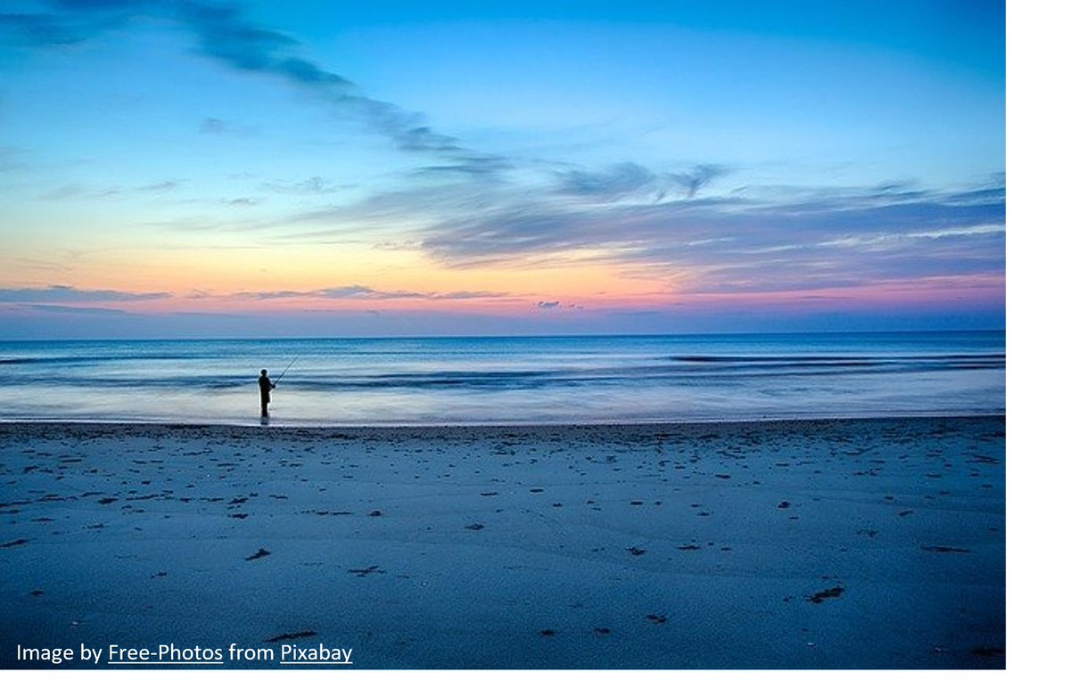 ❗️#Job Alert -Recreational Fisheries Scientist at <a href="/CefasGovUK/">Cefas</a> 

Do you have experience of:
✅Analysing #fisheries data using #R or Python?
✅Scientific writing?
✅#scicomm &amp; collaboration skills?

Then we want to hear from you - bit.ly/3mlE6sV 

⏰Closing 6th Sept 2021.