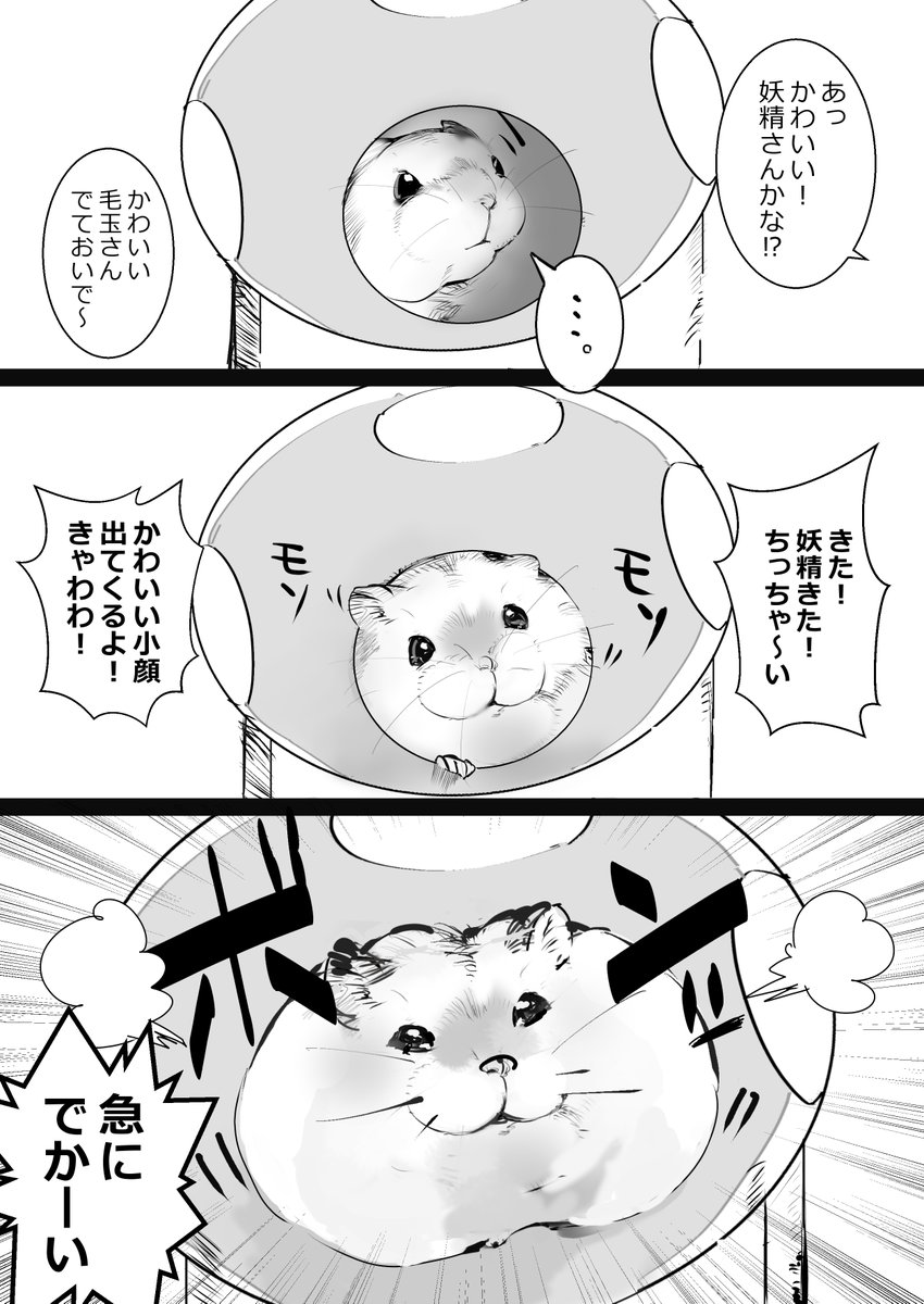 ぼん!って出てくるのいつも笑っちゃう
#ハムスター漫画 