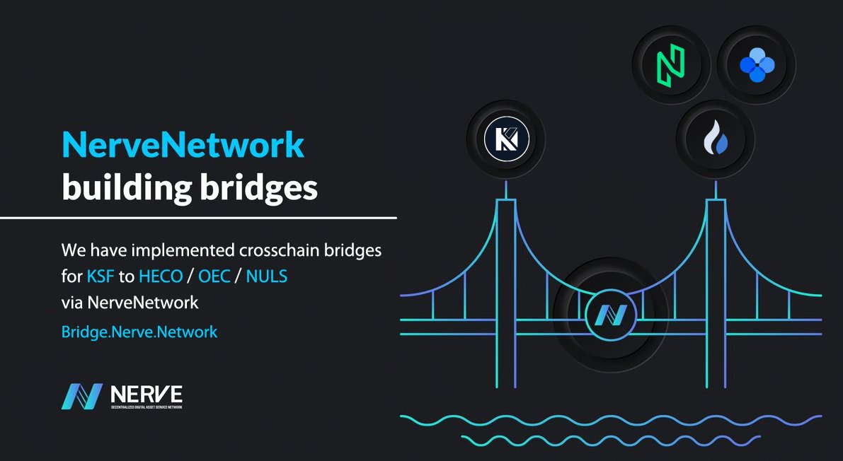 NerveNetwork tweet media