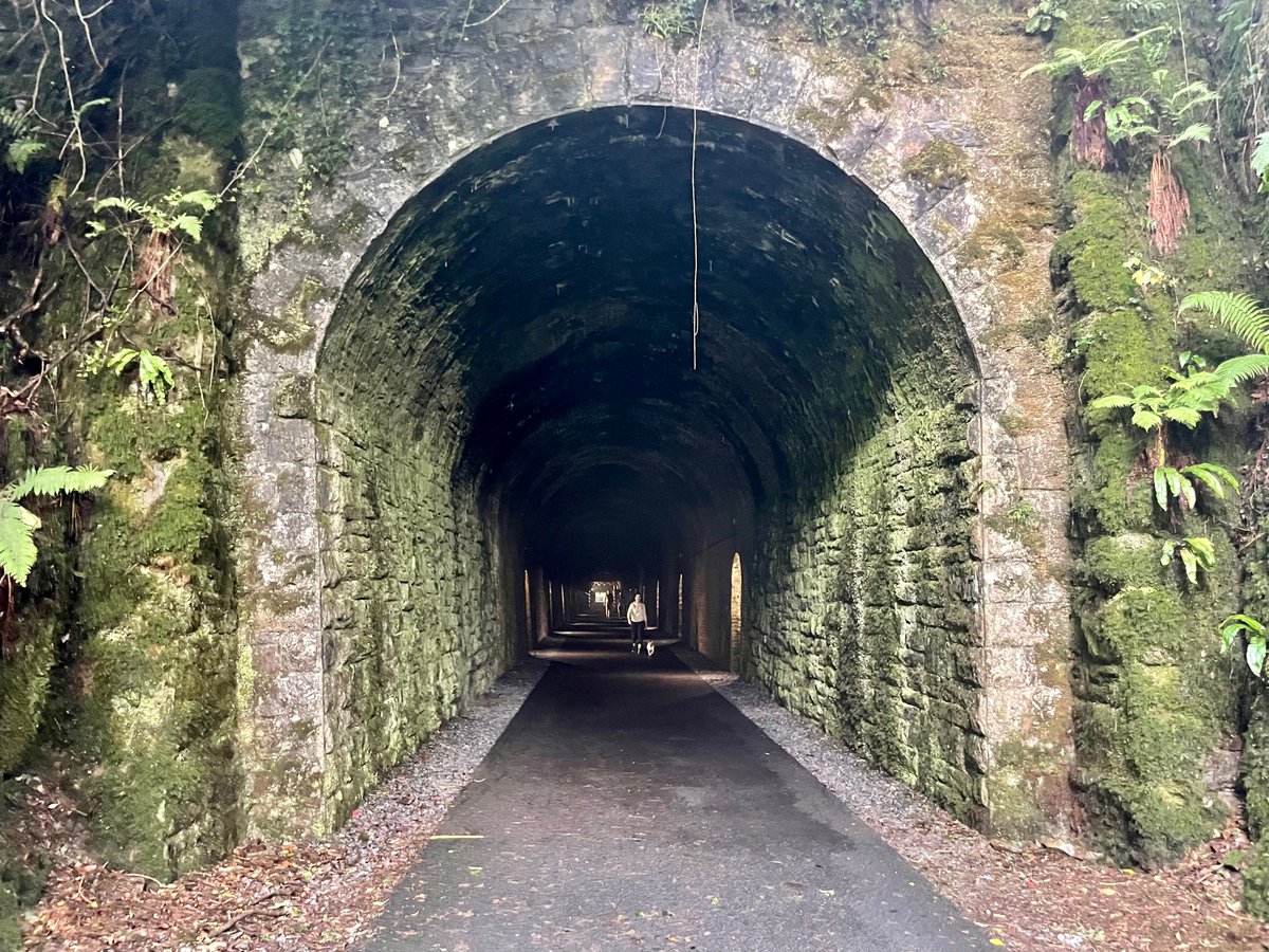 Walked the Waterford Greenway (Kilmacthomas-Dungarvan) yesterday and it is, like everyone says, brilliant. Spotlessly clean, artfully done (the tunnel!), dotted with hip restaurants and good coffee. 

Genuine question: how do we get more greenways in Ireland?