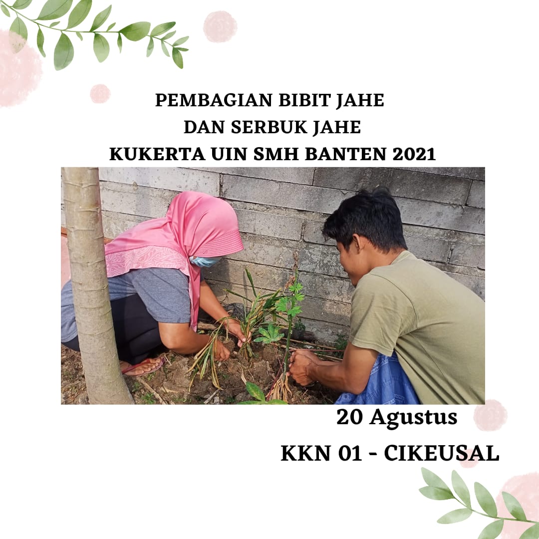 01Cikeusal's tweet photo. Pembagian bibit jahe dan serbuk jahe KKN 01 Cikeusal✨ 

@revmen_id
#RevolusiMental 
#AyoBerubah
#IndonesiaBersih
#IndonesiaTertib
#IndonesiaMandiri
#UINBanten https://t.co/EOq3agZ9DV