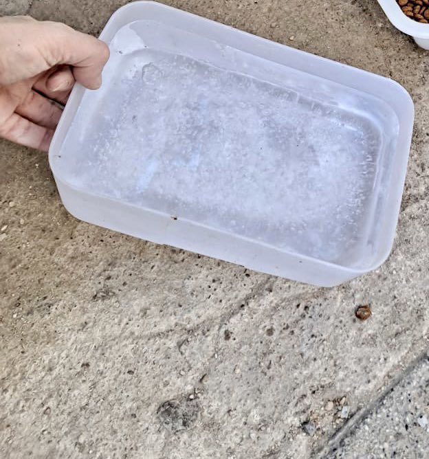 No olvides proporcionar agua limpia cada día a los animales de la calle (gatos, perros, aves, erizos…) y evitando así que mueran de sed.

¡Súmate de forma activa a esos pequeños gestos que se vuelven grandes porque salvan vidas!

Gracias por #rt
 #BuenosDias desde #Albacete