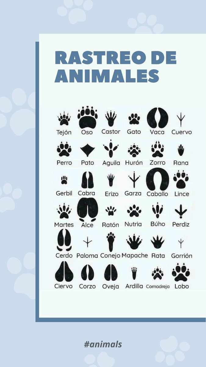 a10magos's tweet photo. #animals https://t.co/7w7fcBLPLx