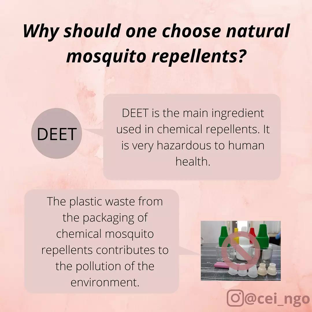 CEI_NGO's tweet photo. 1/2

#naturalmosquitorepellent 

#nature #ecofriendlyliving #sustainable #mosquitorepellent #nocarbonfootprint #lesspollution #noplastic #ceingo #lemon #citrus #lemongrass #lavender #eucalyptus #essentialoils #neem #garlic #nochemicals #guiltfree https://t.co/8ZfXJz7gYc