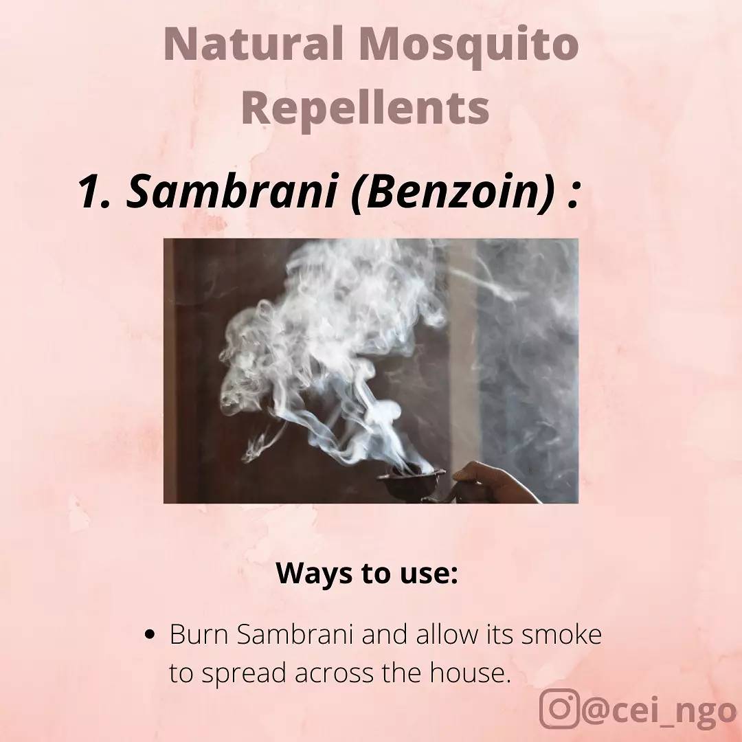 CEI_NGO's tweet photo. 1/2

#naturalmosquitorepellent 

#nature #ecofriendlyliving #sustainable #mosquitorepellent #nocarbonfootprint #lesspollution #noplastic #ceingo #lemon #citrus #lemongrass #lavender #eucalyptus #essentialoils #neem #garlic #nochemicals #guiltfree https://t.co/8ZfXJz7gYc