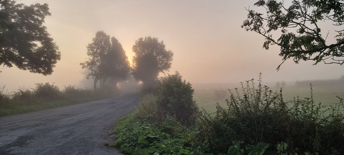 RickRCWWilson's tweet photo. A nice start to the week https://t.co/WvOTzN4Pyu