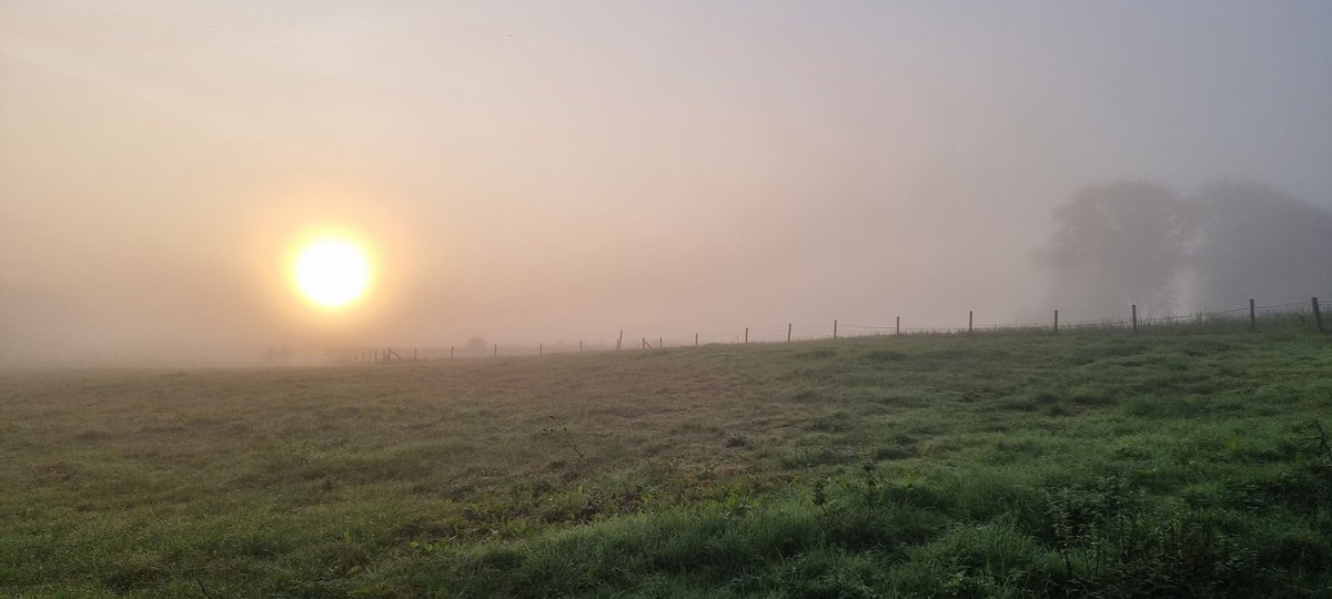 RickRCWWilson's tweet photo. A nice start to the week https://t.co/WvOTzN4Pyu