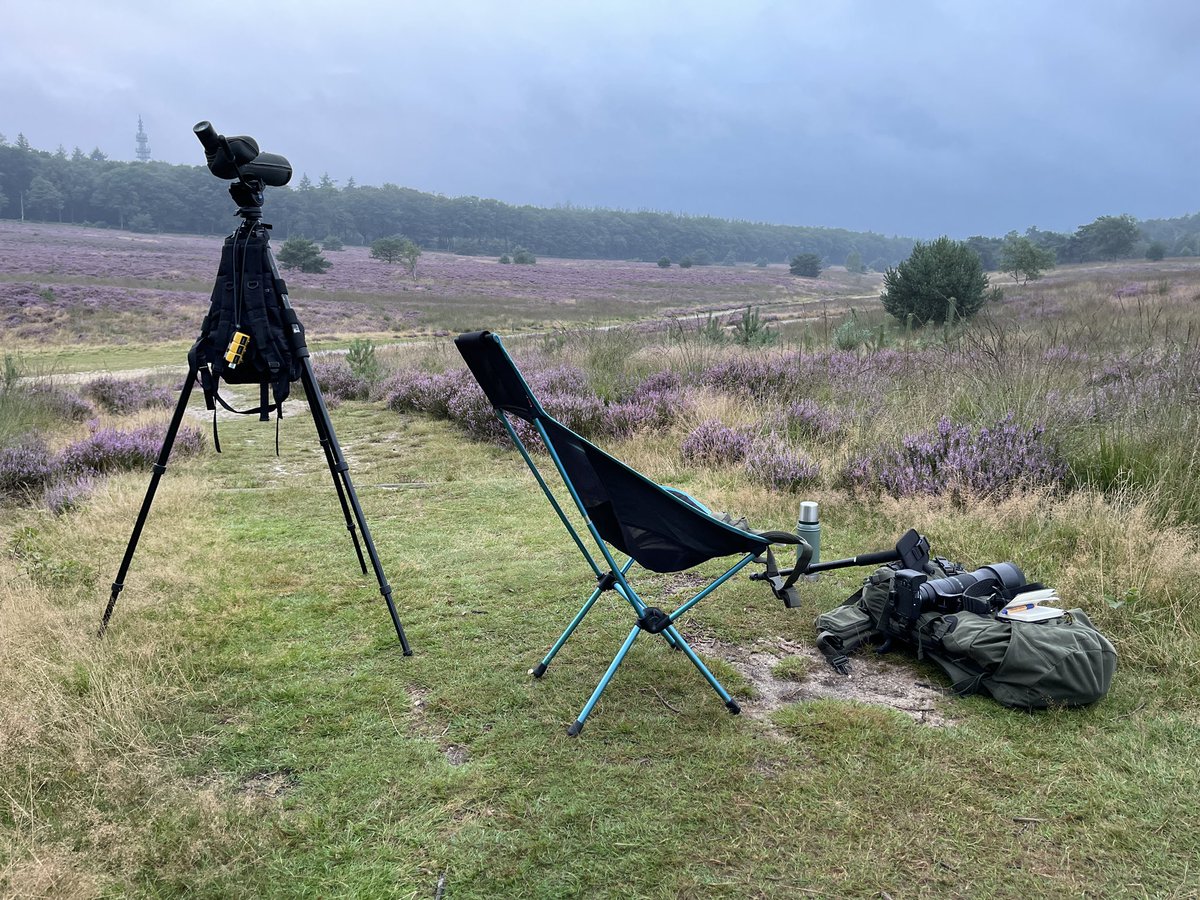 Vanmorgen weer een nieuwe soort voor de #Telpost: SLOBEEND! 5 vogels in formatie vlogen richting het zuidwesten. #vogeltrek #trektellen
