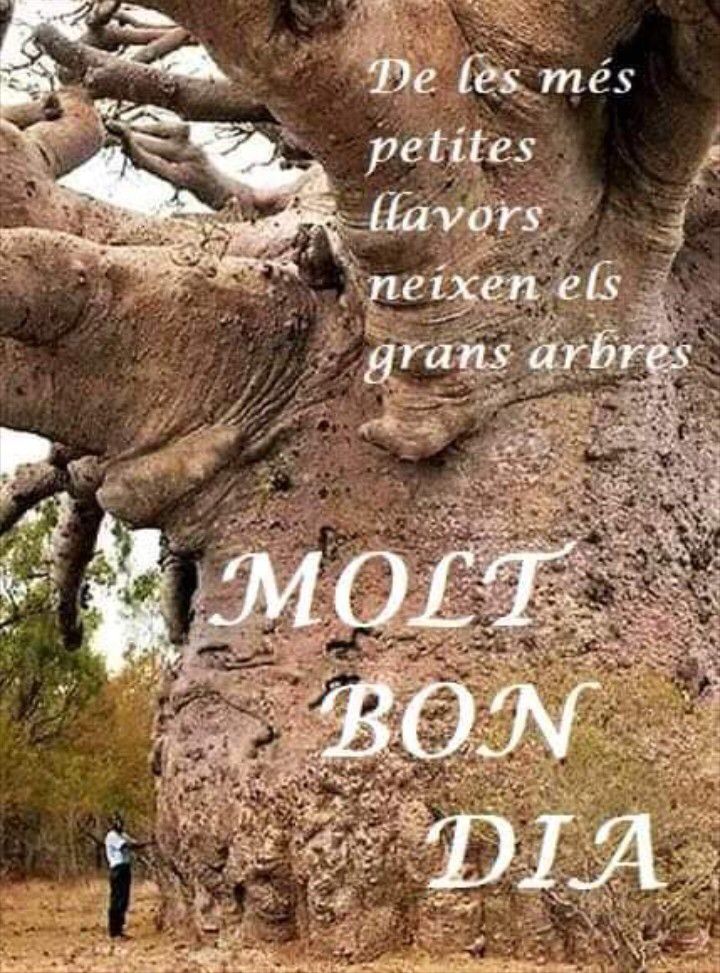 Climeent tweet media