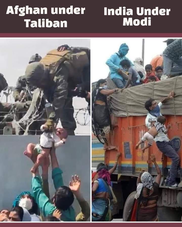 boko_bang's tweet photo. Can you differentiate.? 🤔
@mygovindia https://t.co/5nq0IJ34yv