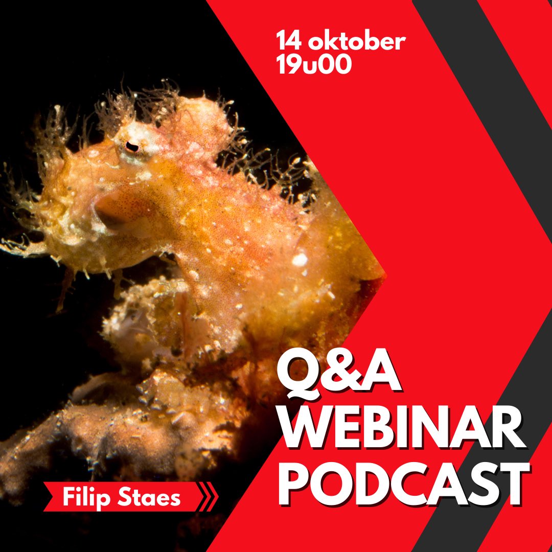 📸 We mogen een volgende leuke podcast mét webinar aankondigen! Onderwaterfotograaf Filip Staes zal op 14 oktober al jullie vragen over onderwaterfotografie beantwoorden. De inschrijvingen starten binnenkort. Hou onze social media in de gaten!