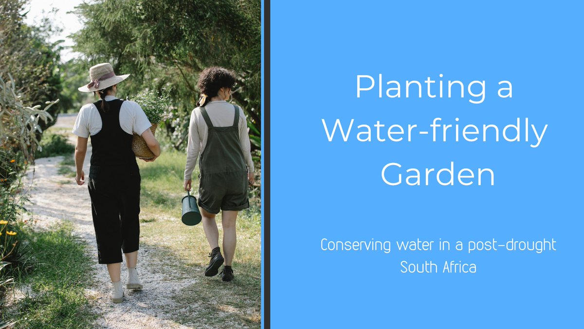 Find our latest blog at ecopack.co.za/planting-water… and see what you can be doing to make your garden more water friendly as we come into summer! 💧🌱