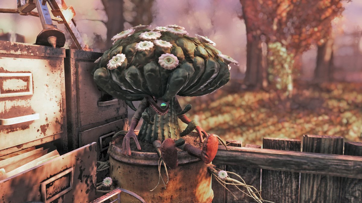 0makase_65535's tweet photo. サボテンマン #fallout76 #cactusman https://t.co/TVcXRmtC34