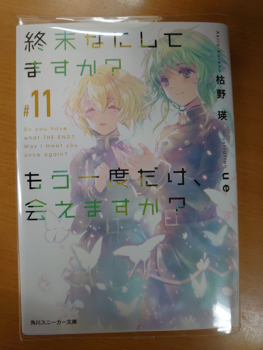 神凪 柑奈 カンナギカンナ ようやくですが 終末なにしてますか もう一度だけ 会えますか すかもか 最終巻読了 終わりゆく世界の中で 少年少女はそれぞれの未来のために 最後の戦いへ 終末へ向かうというかもう終末の世界で それでも大切な