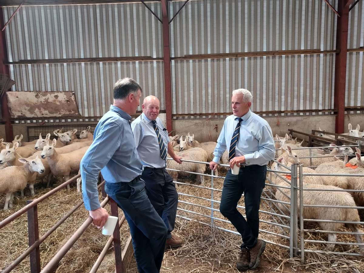 katiesummerfie2's tweet image. What a fabulously happy day attending the Border Leicester 25 years celebration open day. Fantastic sheep, Amazing food and lovely company  😊 #memorydays