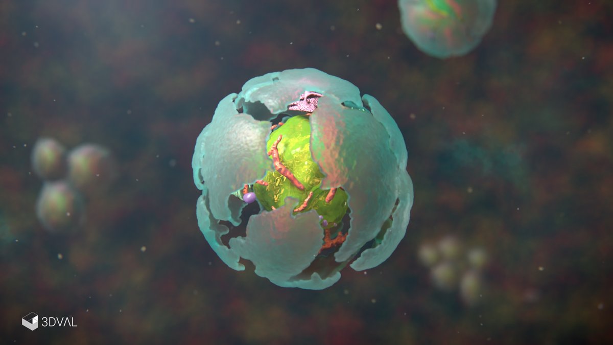 UNSW 3DXLab tweet media