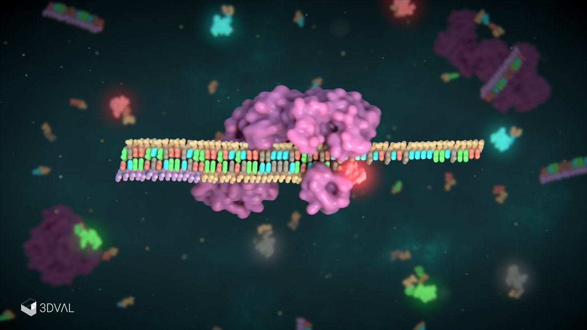 UNSW 3DXLab tweet media