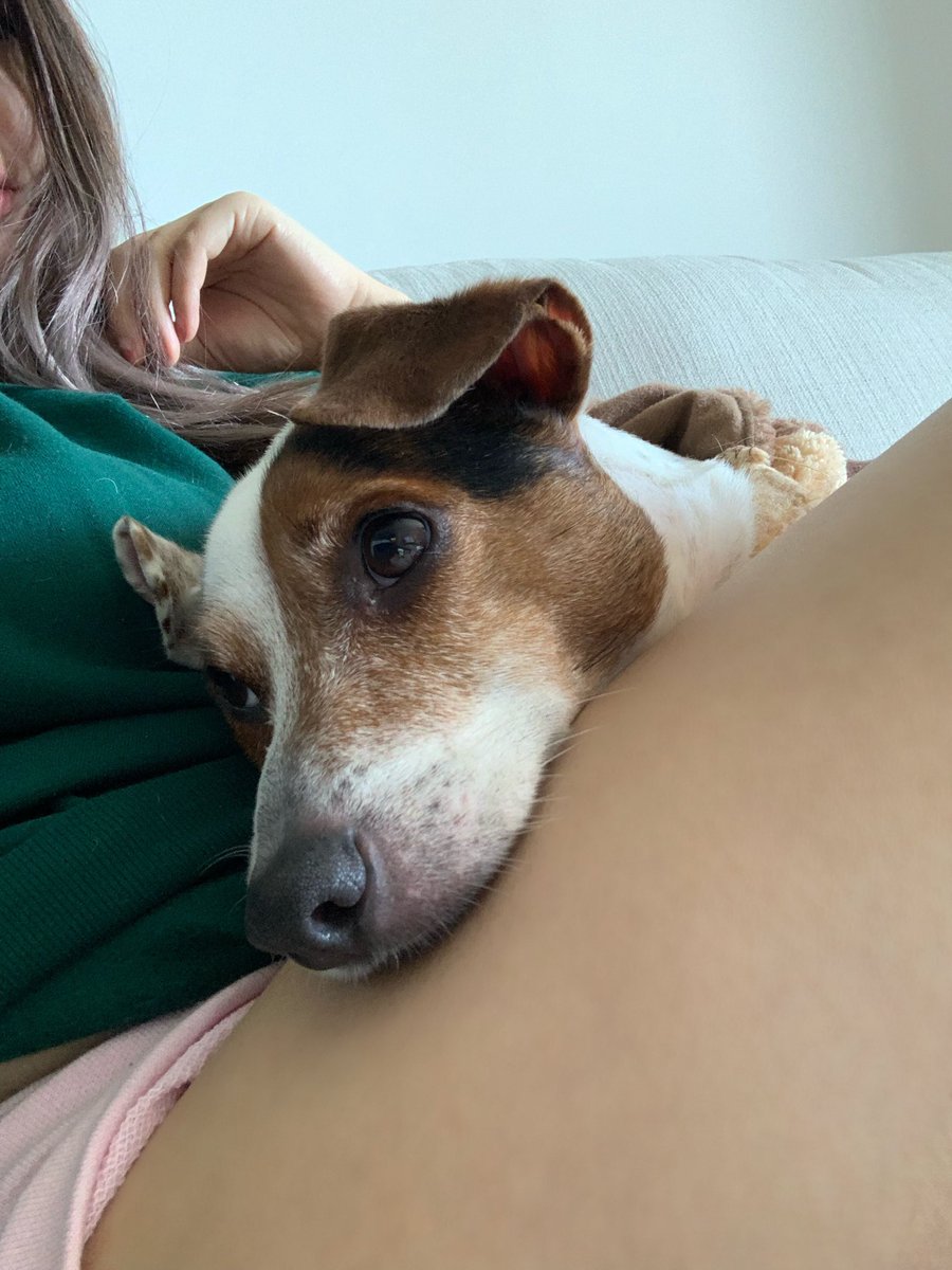 angelinetammi's tweet photo. !thighs lots of dog mum content on my fanhouse :D #dmilf https://t.co/LJhaLAAC7m