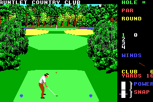 ZeeAussieGamer's tweet image. I miss the old days playing Leaderboard on my Tandy 1000 #tandy1000 #leaderboard