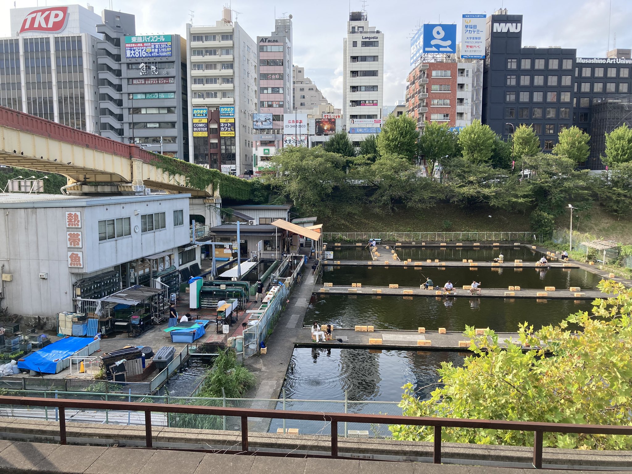 タカシマアキラ ここが日本のアニメやゲーム 漫画でよく出てくる 東京都内にある釣り堀 だよ T Co Z25rxljppj Twitter