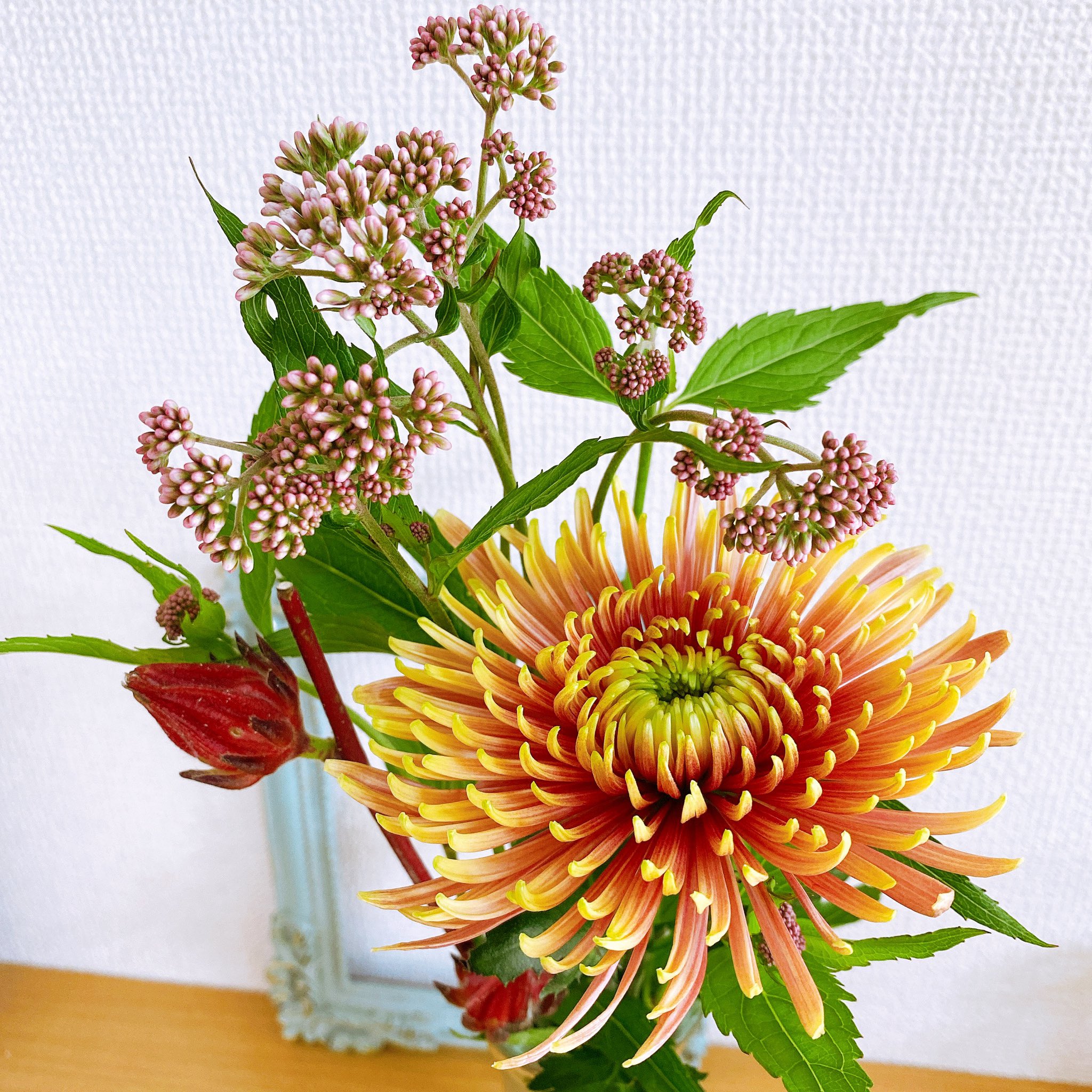 あまなみ ともよ 今月のお花 フジバカマ ローゼル 菊 ローゼルの花言葉は新しい恋 Emotパスポート サブスク 花のある暮らし T Co Tcccfb0nry Twitter