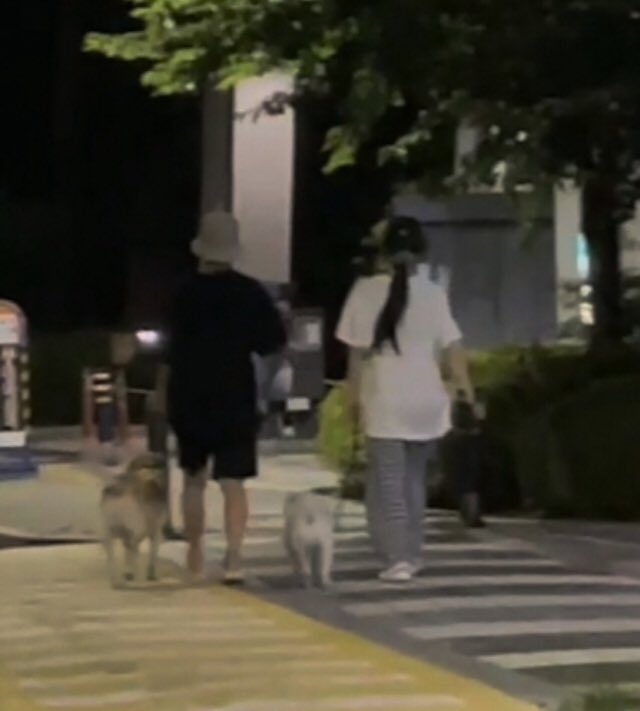 earpsolaris's tweet photo. Joy e Crush em: casal que anda com os cachorros juntos, permanece juntos https://t.co/pF5l3zkgfC