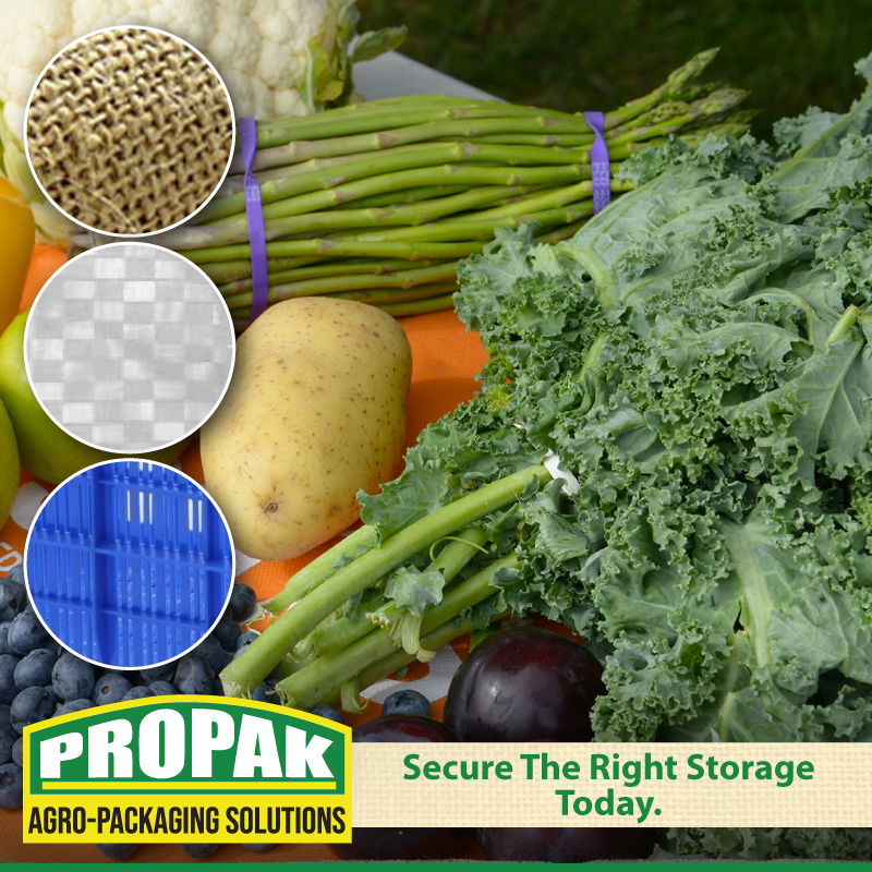 PropakHessian's tweet photo. Secure The Right Storage Today
After a bumper harvest, storage is the remaining hard activity to carry out. However we make it easy for you. Contact us to get the best packaging material for a maximum safety of your yield during storage.
#Propakhessian
#Agropackagingpartner https://t.co/q6AAEAJ0xS
