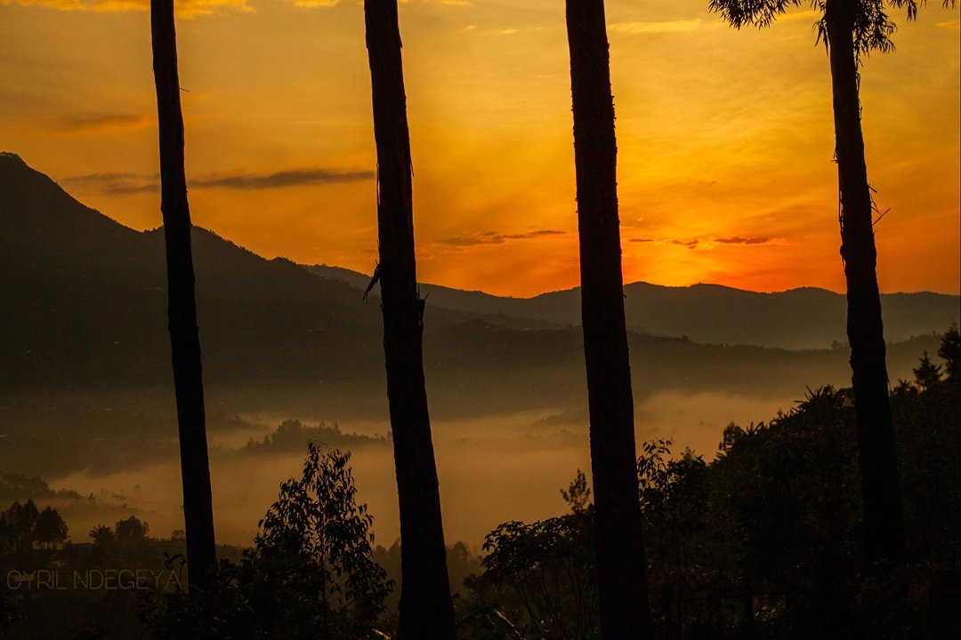 CyrilNdegeya's tweet photo. You only feel the nature wanderlust when a new day finds you in  the #landof1000hills!
 #naturephotography #naturelovers #nature_brilliance #weatherphotos @visitrwanda_now @RDBrwanda @AKageruka @BeliseKariza @NatGeoTravel @NatGeoPhotos @TravelMagazine @WorldNatureOrg https://t.co/3pWYwXV3E5