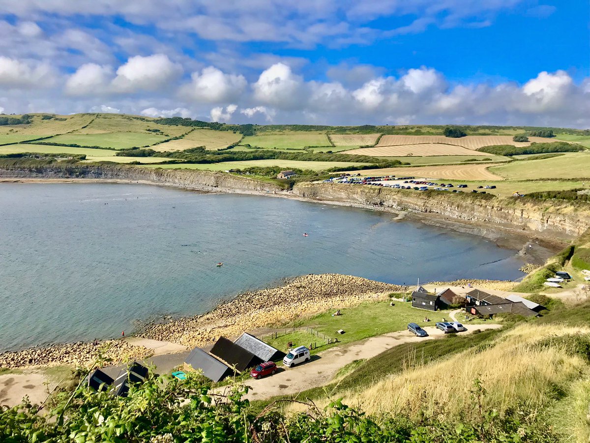 Dr Rob Ryan tweet media