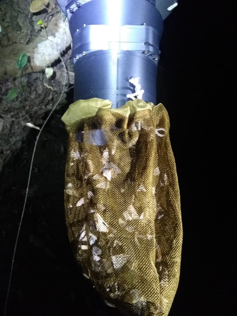 sajall_sharma's tweet photo. Captured in the first hour of deployment.
Moth/Mosquito Traps.
It uses UV lights to attract dipteran and then captures them live in an easily removable mesh.
3D modeled and 3D printed traps with rechargeable batteries, giving it a working period of 14.5 hours.
#MothTraps https://t.co/WQVayhMRJf